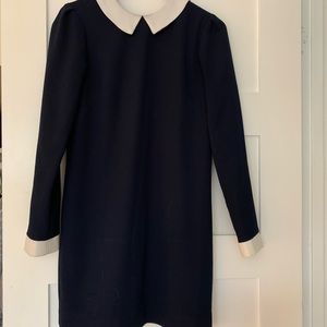 Classic Birds of North America navy blue dress